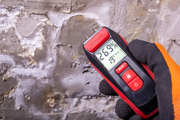 Best Certified Mold Removal  in Ferriday, LA