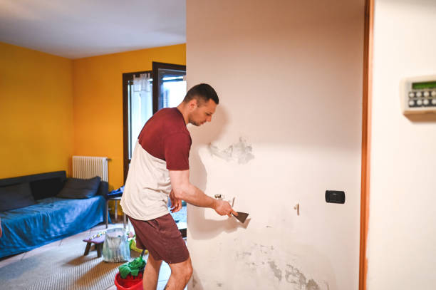 Best Mold Remediation  in Ferriday, LA