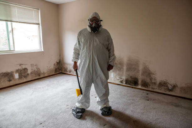 Trusted Ferriday, LA Mold Removal Experts